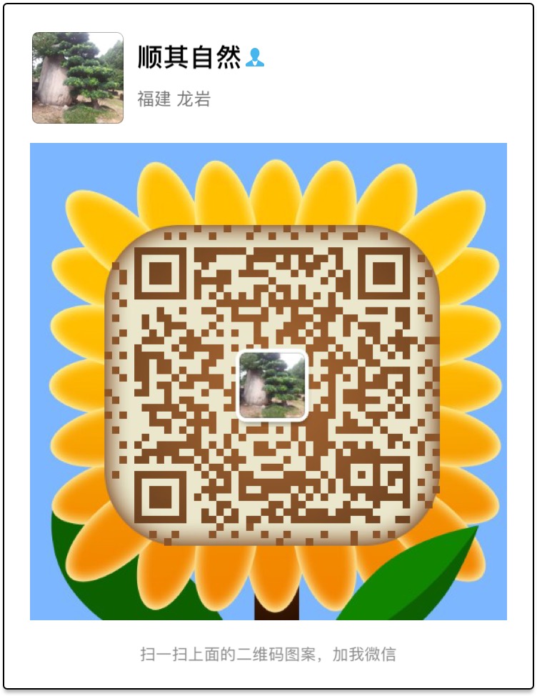 1501472299119537.jpg